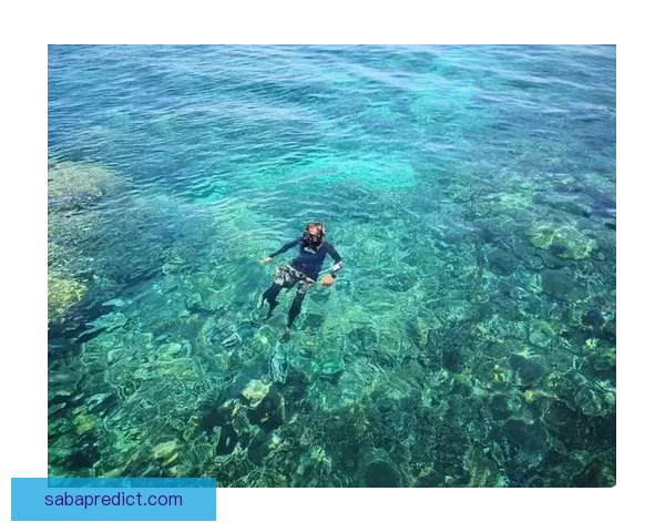 沙巴APP助力用户智能生活，打造便捷高效的全方位服务平台